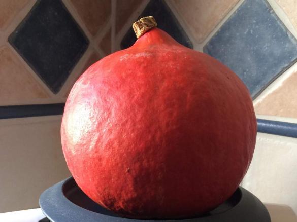 Kürbis Suppe vom Hokaido Kürbis mit Ingwer