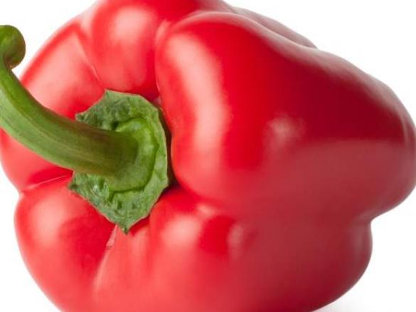 Paprika-Rahm-Nudeln mit Pute (All-in-one)