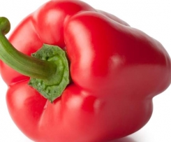 Paprika-Rahm-Nudeln mit Pute (All-in-one)