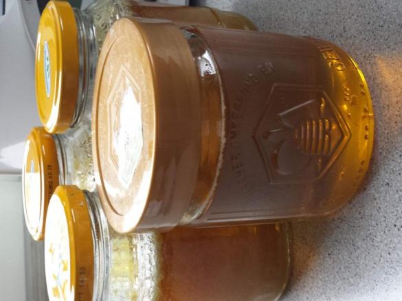 Löwenzahnblütenhonig einfach und schnell