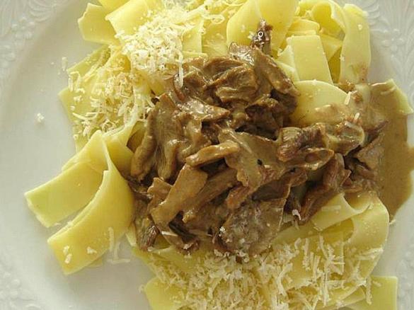Pasta mit Steinpilzen