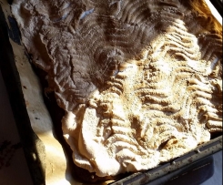 Rhabarberkuchen mit Baiser vom Blech