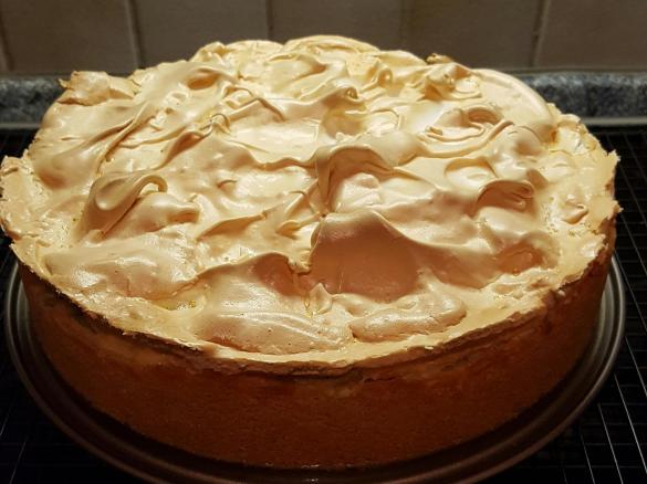 Rhabarberkuchen mit Baiser und Goldtröpfchen (bilden sich, wenn der Kuchen kalt ist)