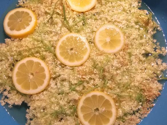 Holunder Sirup - Hollersaft