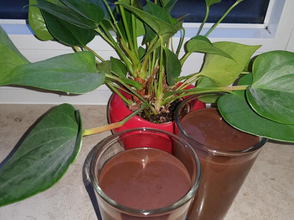 Schokmok-Smoothie, Low Carb