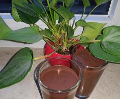 Schokmok-Smoothie, Low Carb