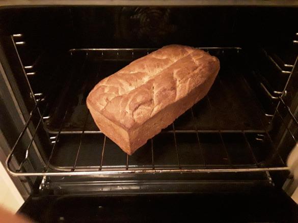 Dinkel Malzbier Brot