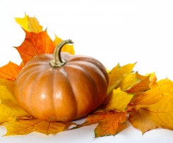 Kürbissuppe für Kinder