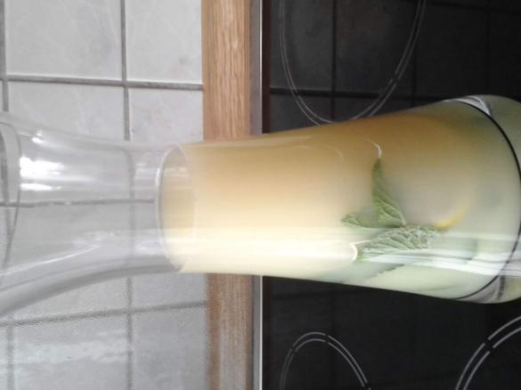 Zitronen-Ingwer-Saft