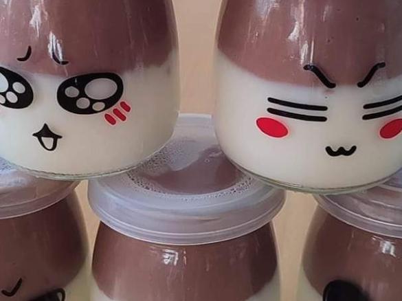 Schoko-Vanille-Pud­ding