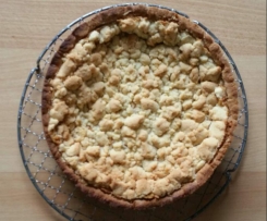 Variation von Apfelkuchen mit Pudding und Streusel