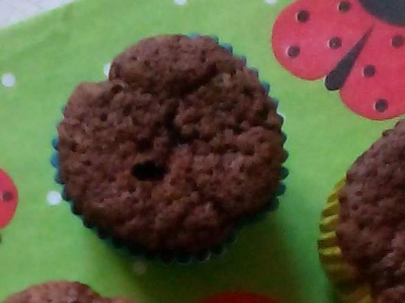 Schoko-Haselnuss-Muffins ( glutenfrei )