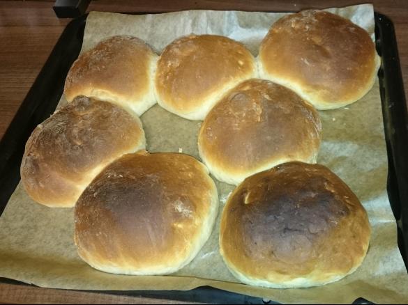 Bollos de leche (Kanarische Milchbrötchen)