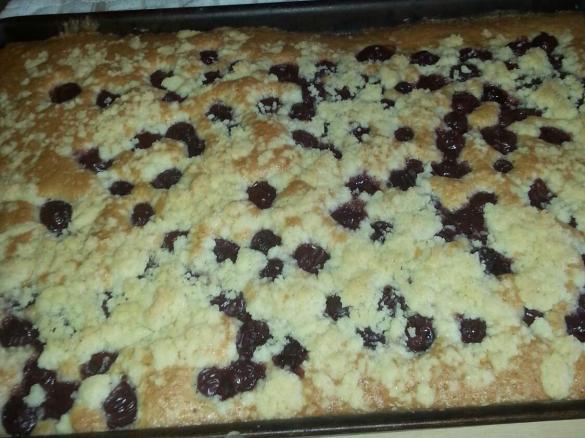 Kirsch-Streusel-Kuchen aus Finessen 1/2015