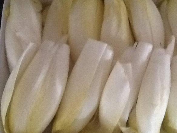 CHICORREE'-AUFLAUF ZACK ZACK