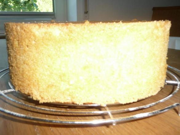 Biskuit HOCH - Tortenboden