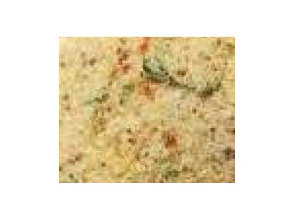 Instant Bio-Gemüsebrühe