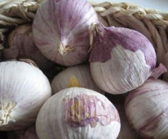 Knoblauch-Bechamelsoße für Aufläufe