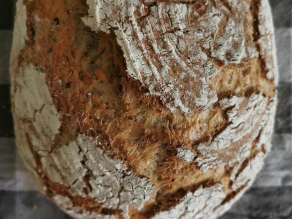 Conny Körnchen Brot