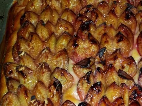 Hefeteig für Butterkuchen, Zwetschgenkuchen, Apfelkuchen vom Blech