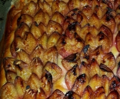 Hefeteig für Butterkuchen, Zwetschgenkuchen, Apfelkuchen vom Blech