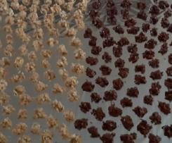 Schoko-Crossies mit Kakaobutter und Mandeln