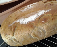 Ein Quicki im Römertopf