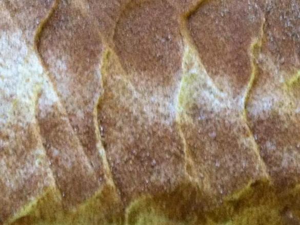 Mandarinen-Schmandkuchen mit Zimthaube