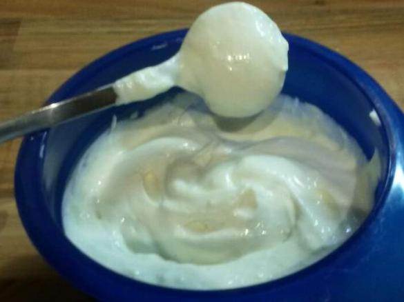 fettreduzierte Mayonnaise ohne Ei 