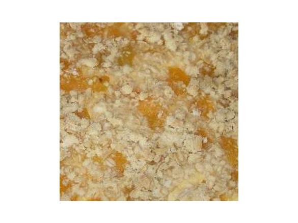 Quark-Aprikosenkuchen