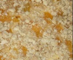 Quark-Aprikosenkuchen