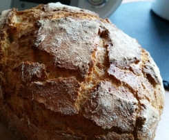 Joghurtkruste mit Malzbier