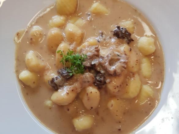 Gerrys Gnocchi in feiner Morchelrahm-Sauce