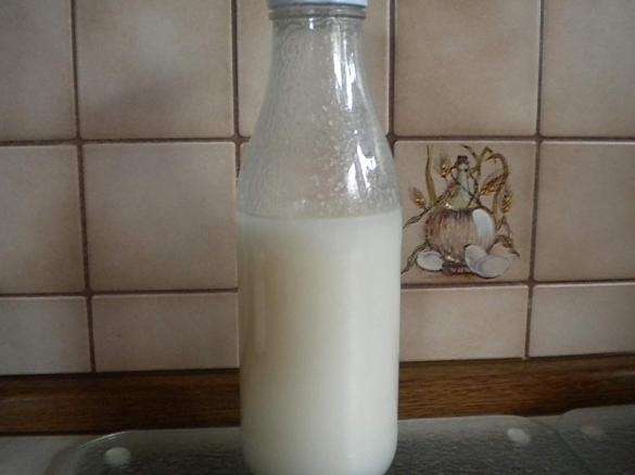Reismilch