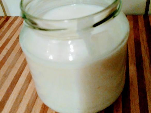 Kokosjoghurt vegan, sojafrei, einfach und schnell gemacht