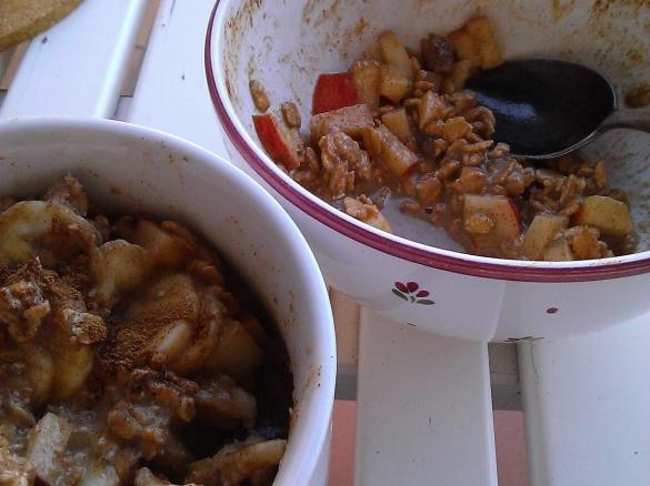 Porridge gekocht oder overnight Variante - vegan - veggie - low fat - gesund - fitness