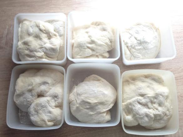 Pizzateig (für 6 runde Pizzen)