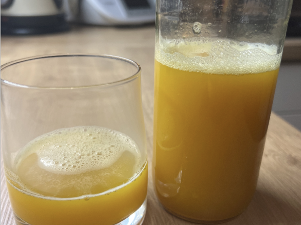 Owiberger INGWERSHOT - Für immer gesund!