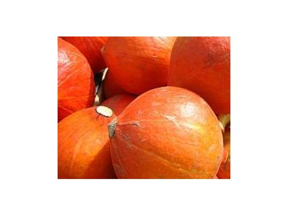 Herzhafter Kuerbiskuchen