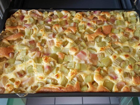 Rhabarber-Vanille-Kuchen vom Blech
