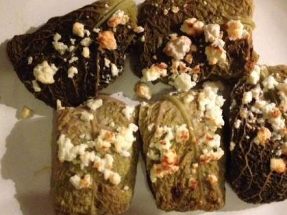Vegetarische Kohlrouladen