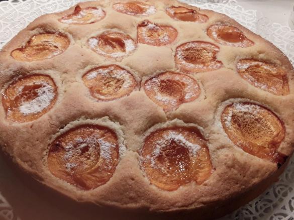 Aprikosenkuchen / Marillenkuchen