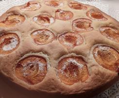 Aprikosenkuchen / Marillenkuchen