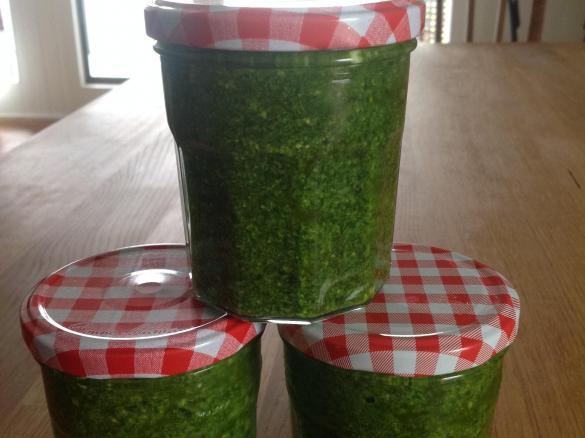 Bärlauchpesto
