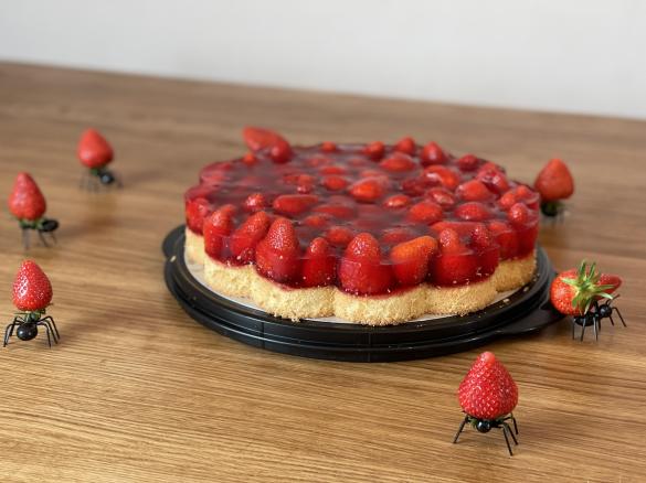 Blitzbiskuit für Obstkuchen