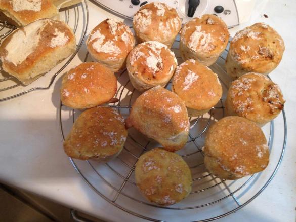 Zwiebel - Baguette - Magique - Brötchen