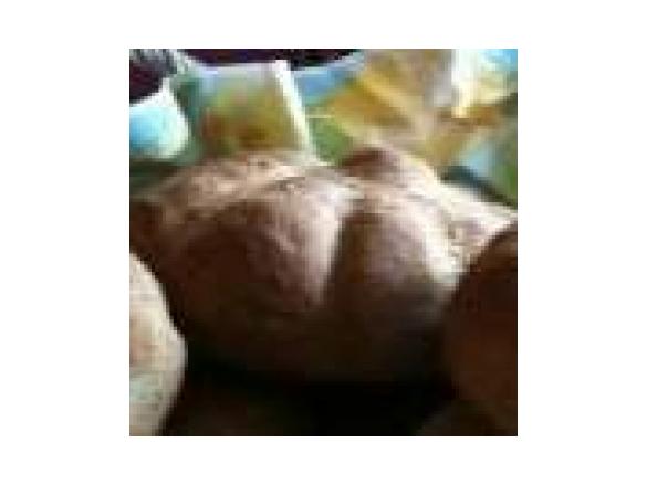 Vollkornbrötchen - zum einfrieren geeignet