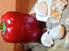 Paprika Aufstrich , Feta - Dip * super-lecker*