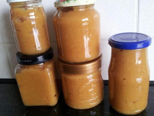 Schnelles, Gesundes Apfelmus mit winterlichem Flair