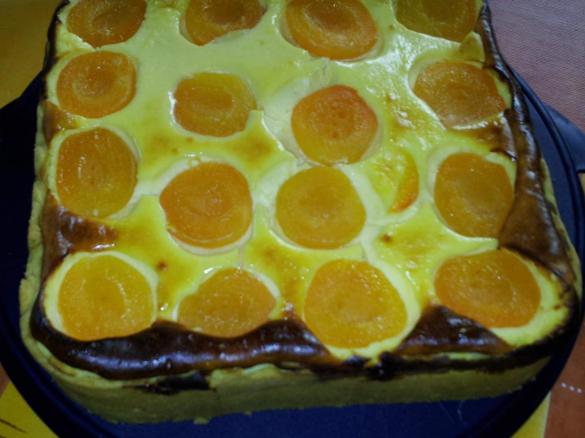 Käsekuchen mit Aprikosen